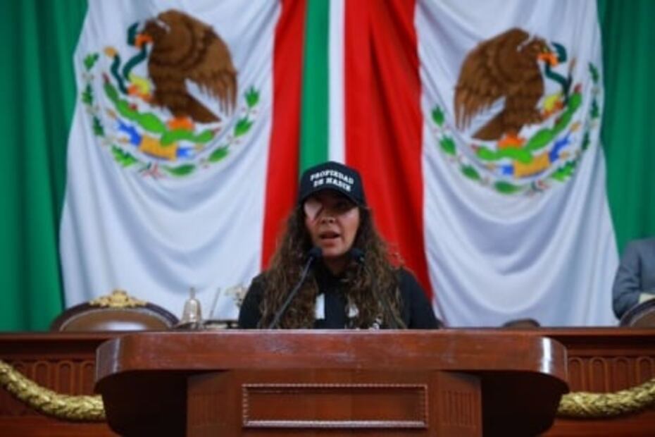 Morena CDMX va por "Ley Malena" para atender casos de violencia con ácido