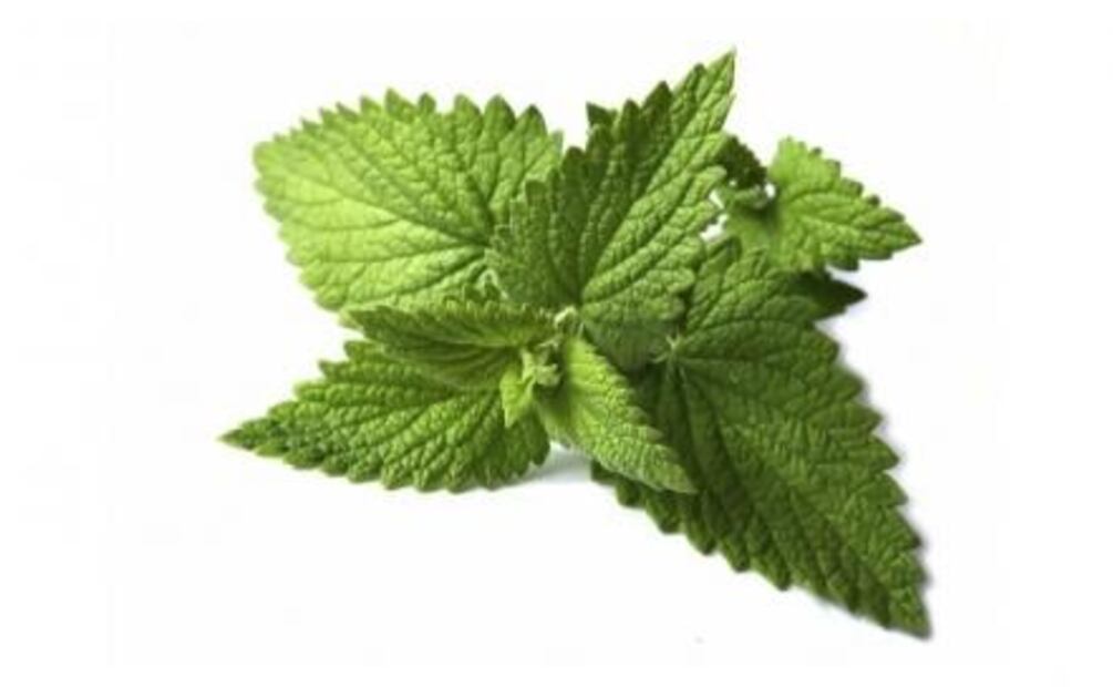 5 alimentos para el malestar estomacal 