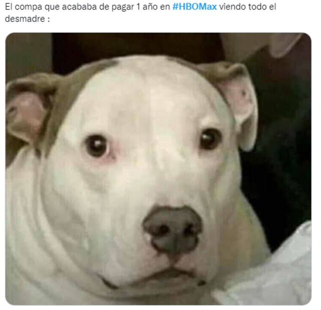 HBO Max podría desaparecer y usuarios reaccionan con memes 
