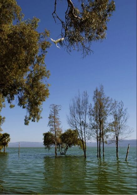Ajijic es el nuevo y 'glamuroso' Pueblo Mágico de Jalisco