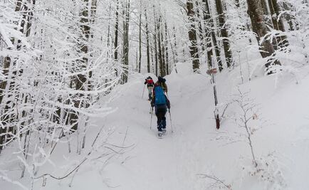 Juega a hacer angelitos en la nieve