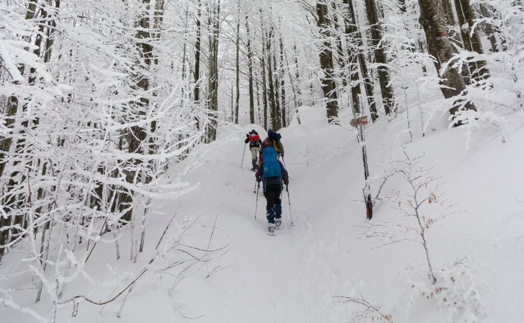 En algunos senderos del parque la nieve puede llegar hasta las rodillas, pero las raquetas impiden que te hundas por completo. (Foto: iStockPhoto)