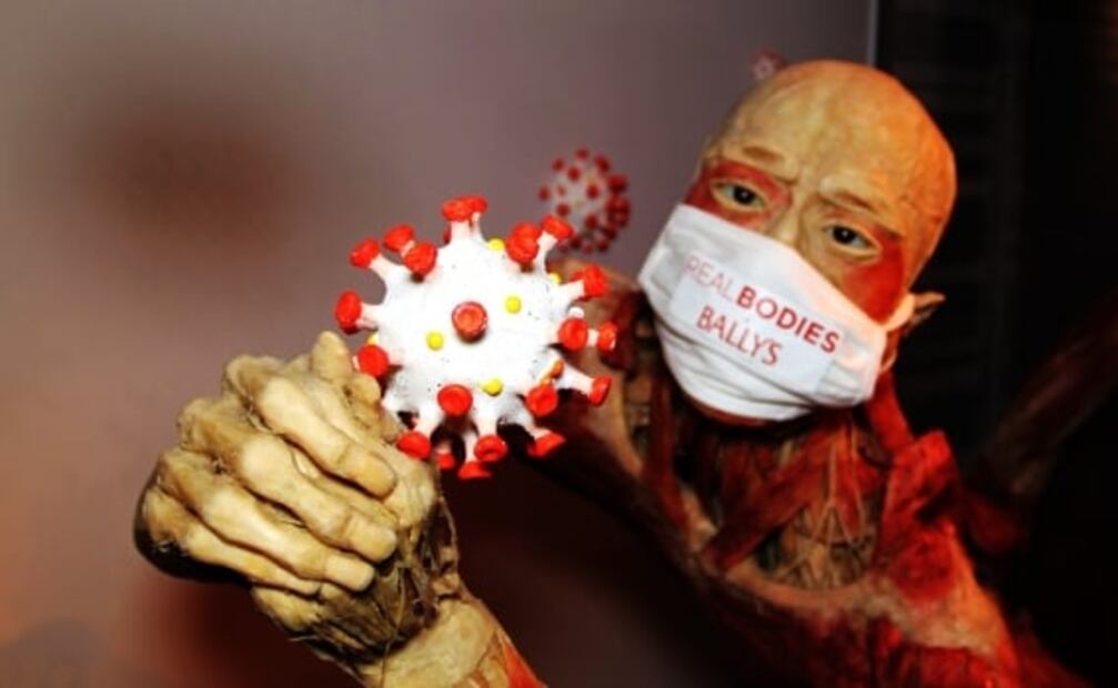 En cuerpos humanos reales exhiben efectos del Covid-19