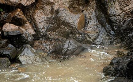 Elefantes salvajes mueren tras resbalar de una cascada en Tailandia 