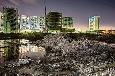Manglar Tajamar, un cementerio de flora y fauna