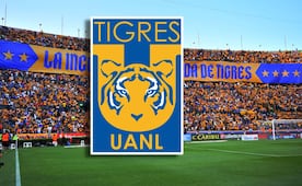 Los Tigres contratan a futbolista que participó en la Copa del Mundo