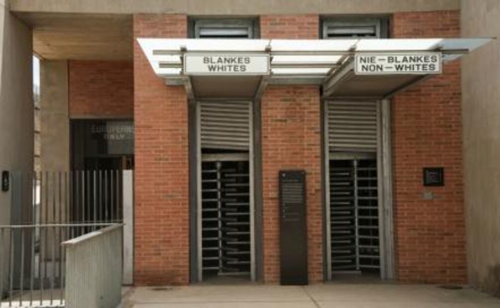 ¿Qué hacer en el bosque urbano más grande del mundo?