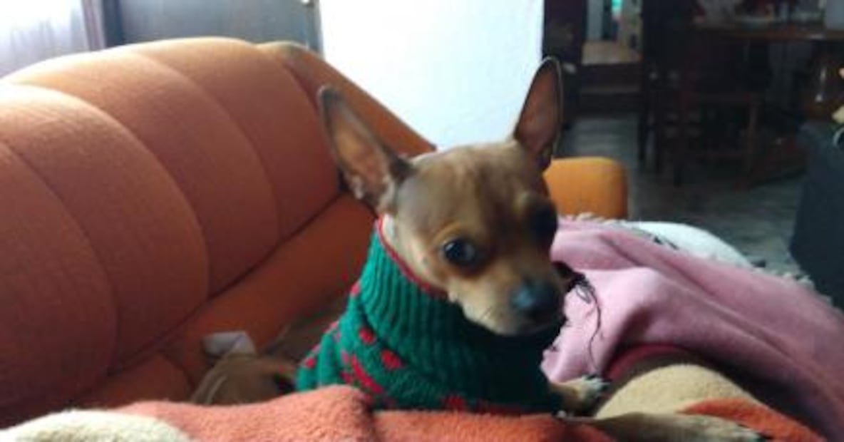 Te damos 10 recomendaciones para el frío invernal que ya provocó nevadas