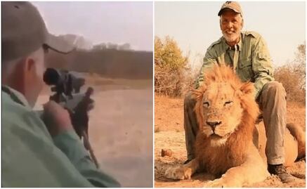 Cazador asesina a un león mientras dormía 