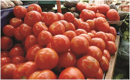 Exportadores de jitomate llegan a un acuerdo con EU para evitar aranceles
