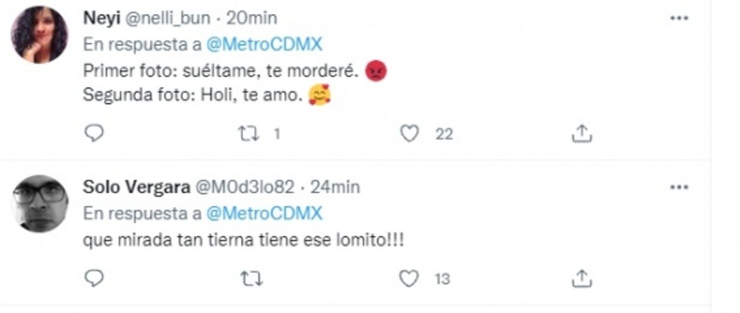 Rescate de perrito detiene marcha de trenes en la Línea B del Metro