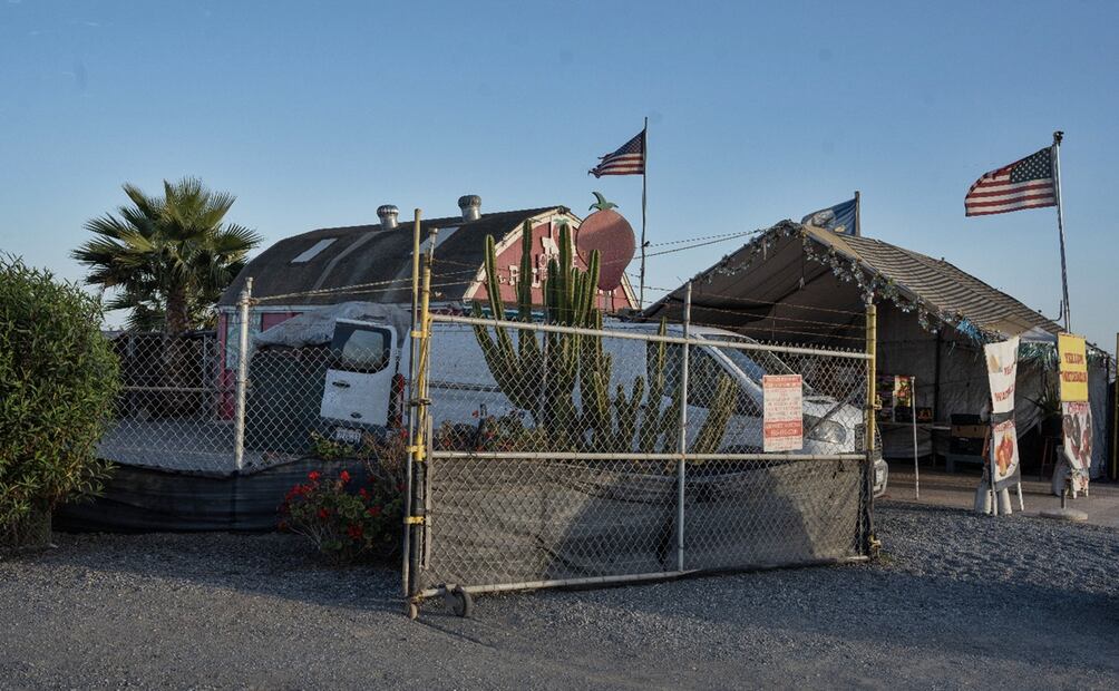 Campos de cultivo en Oxnard lucen vacíos sin jornaleros, el 14 de junio de 2025, tras las detenciones de ICE en Los Ángeles, California. Foto: Aimee Melo/EL UNIVERSAL