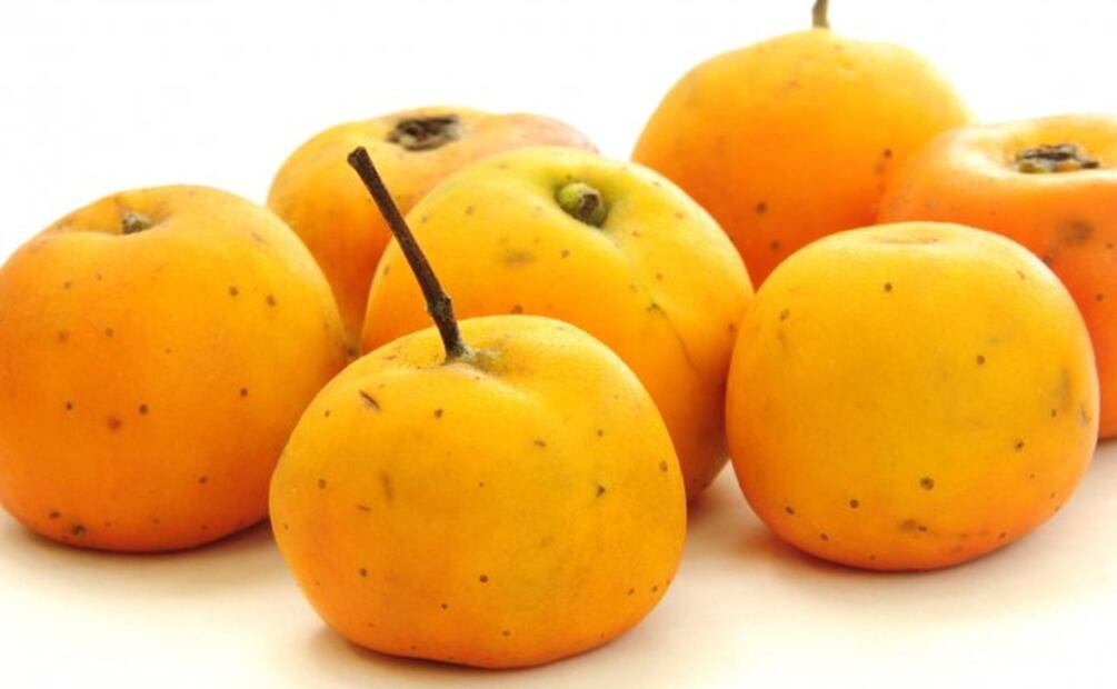 El nombre de tejocote proviene del náhuatl y significa piedra de sabor agridulce. Foto: Especial