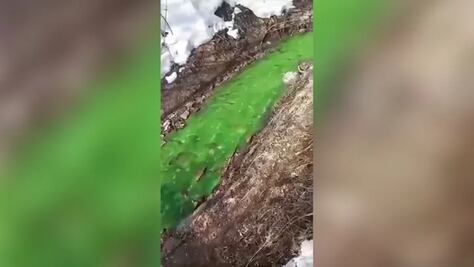 ¿Agua contaminada en Rusia?, río se tiñe de "color verde brillante"