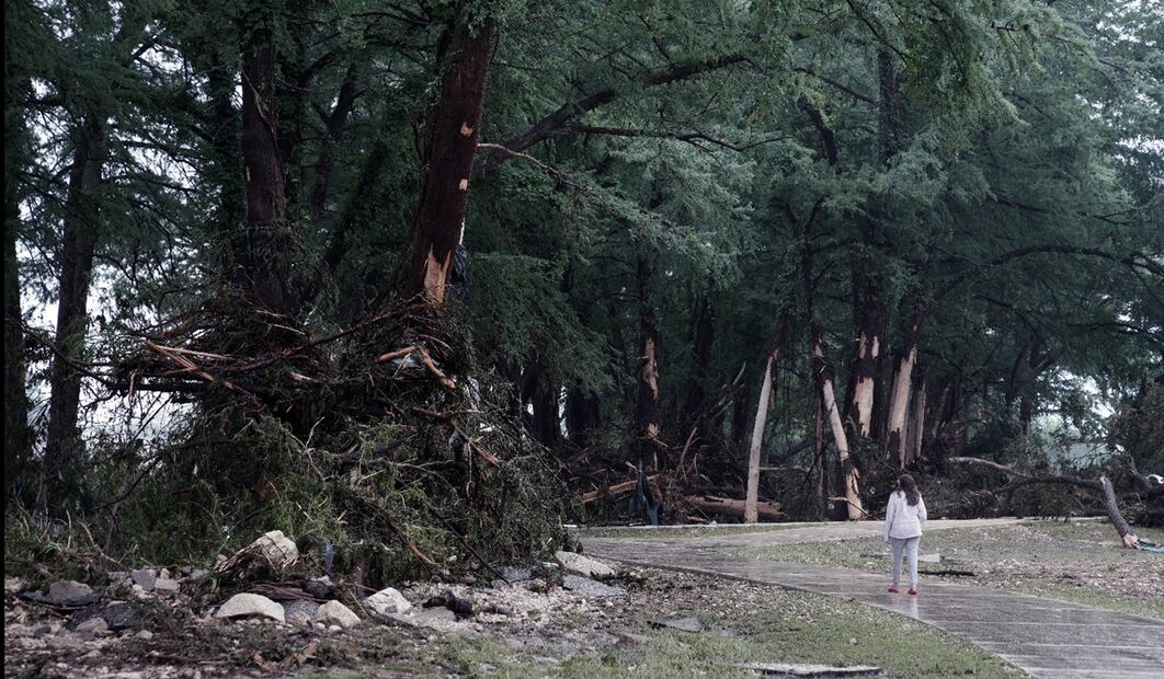 Una mujer observa los daños causados a los árboles por las inundaciones en Kerrville, Texas, Estados Unidos, el 5 de julio de 2025. Foto: EFE