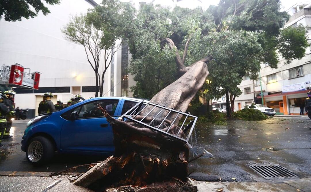 Foto: Valente Rosas/EL UNIVERSAL