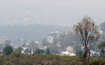 Mantienen contingencia para este viernes; Pedregal registra 166 puntos