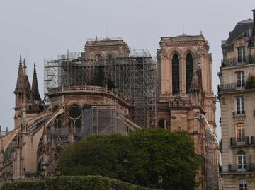 Notre Dame aún intacta gracias a reproducción digital