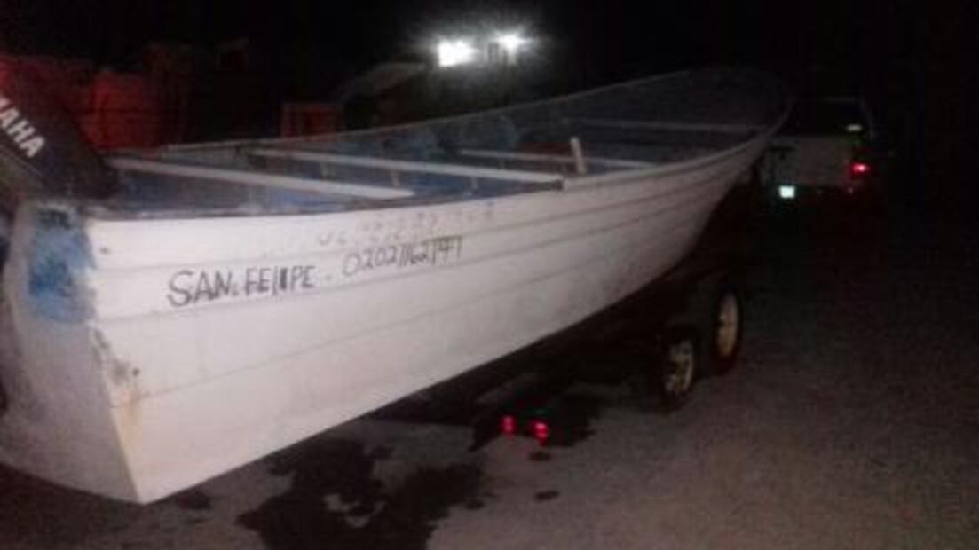 Aplican cero tolerancia en área de vaquita marina y totoaba