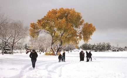 Tormenta invernal deja al menos cinco muertos en EU 