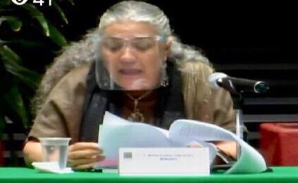 Diputado cuestiona ratificación de Elvira Concheiro como nueva Tesorera