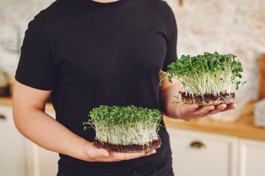 El vegetal más sano. Fuente: Freepik