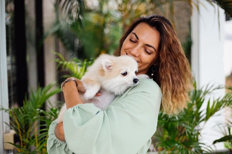 Perros con demencia senil. Fuente: Freepik