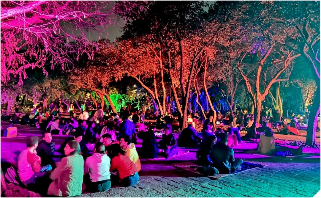 Picnic Nocturno en Chapultepec. Foto: Especial