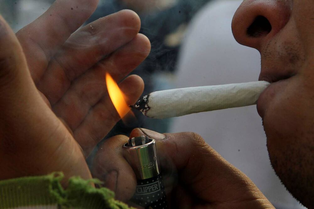 Al resolver un amparo en revisión, se autoriza sembrar, cultivar, cosechar, preparar, poseer y transportar la mariguana, pero sólo para autoconsumo (ARCHIVO EL UNIVERSAL)