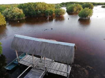 La playa de Sisal y sus manglares, en Yucatán