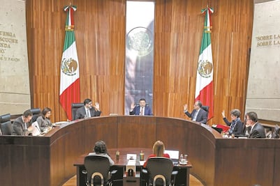 Tribunal Electoral analiza casos contra Ackerman