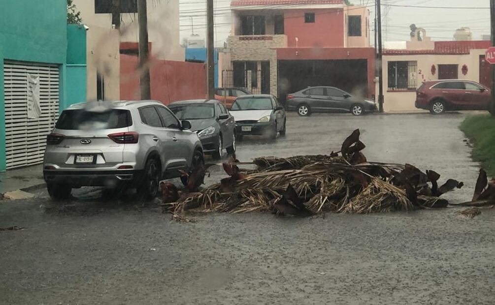 En la colonia Santa María, sobre la calles 4 con 21, cayeron unas palmeras caídas. Foto: Especial