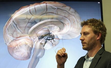 Así se comporta nuestro cerebro al navegar por Internet
