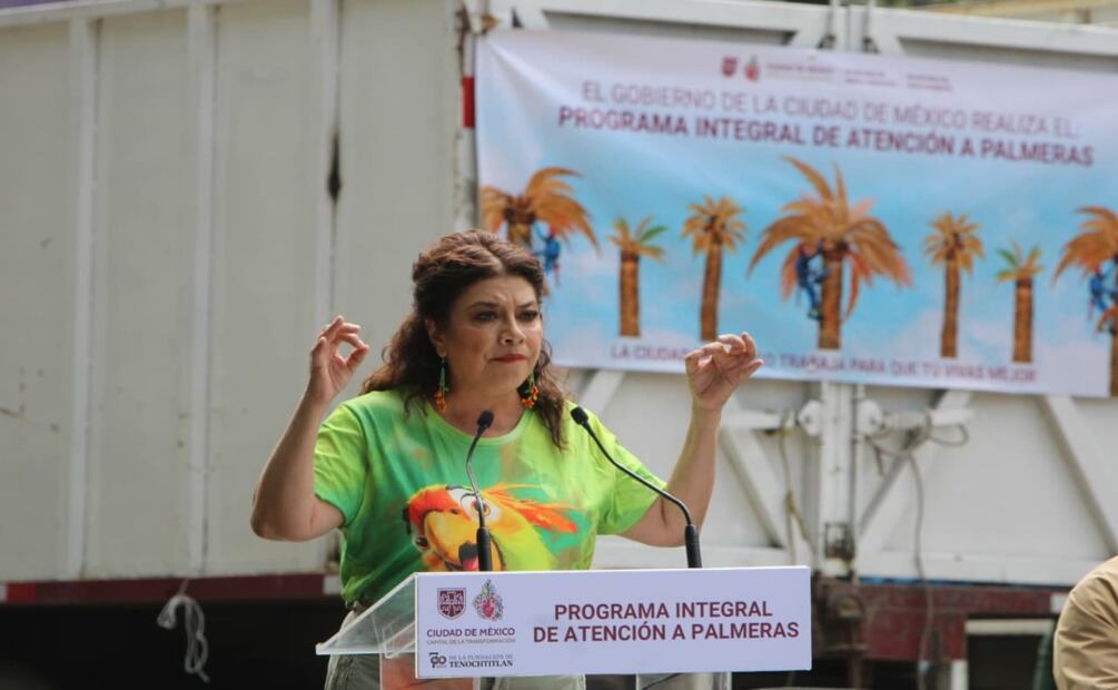 Retirarán mil 500 palmeras enfermas en CDMX; serán sustituidas por árboles nativos. Foto: Darío Luna