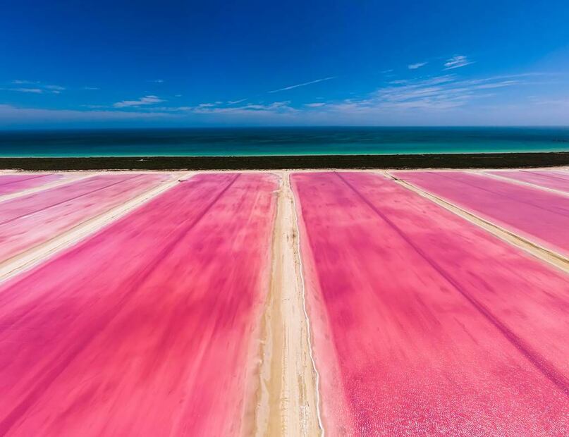 Sus tonos rosados se aprecian mejor al mediodía. Foto: Sefotur Yucatán