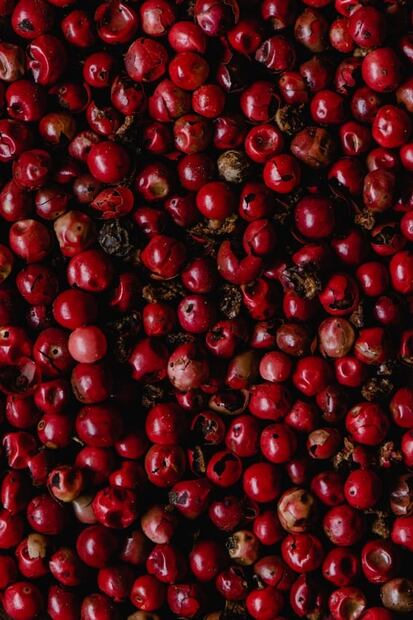 Conoce más sobre la reina las especias, la pimienta
