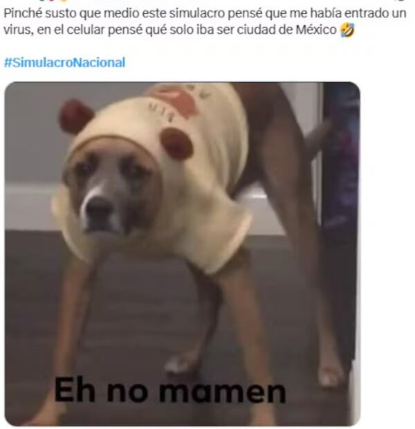 Foto: Vía X.