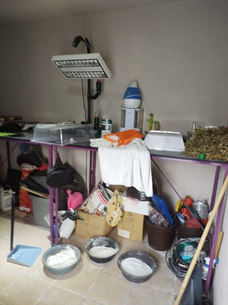 Desmantelan narcolaboratorio en Ecatepec; hay un detenido