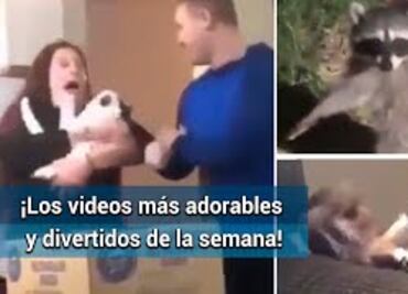 ¡Los videos más adorables y divertidos de la semana!