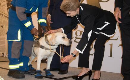 Galardonan a "Frida" por su labor tras sismo del 19-S