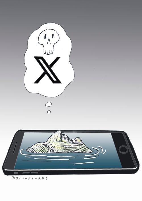 Cartón de HELIOFLORES