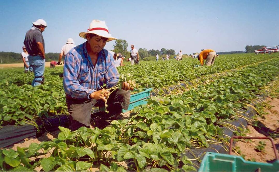 Imagen ilustrativa. Foto: Archivo/EL UNIVERSAL