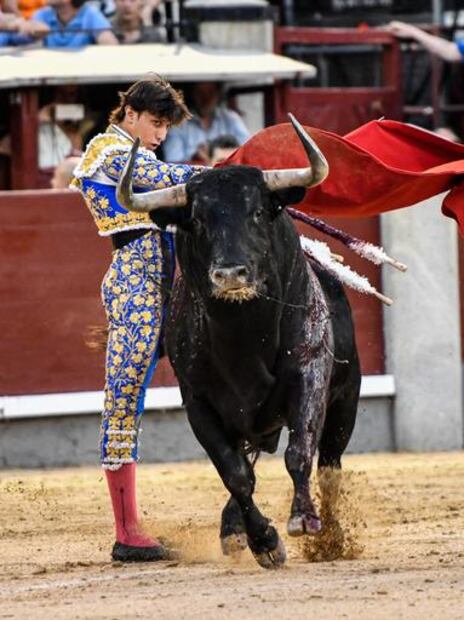 Por la historia de Las Ventas y su brillante futuro