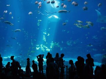 Cuándo abrirá el Acuario Parque Tepeyac en CDMX