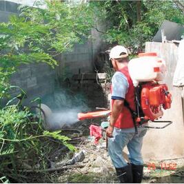 Reportan cinco muertos por dengue 