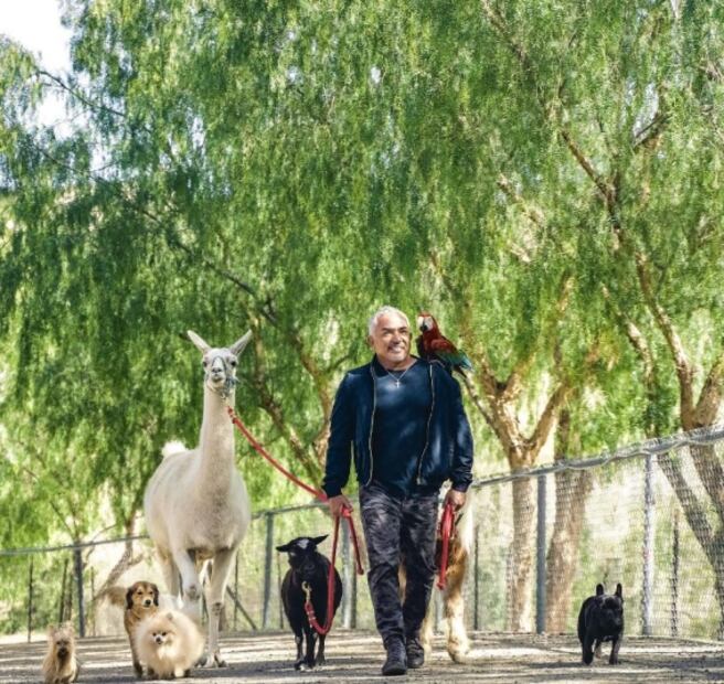 ¿Qué hace ahora César Millán, "El Encantador de Perros"?