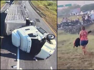 ¡Ya hay cena de Navidad! Rapiña de reses tras volcadura de tráiler en Chiapas