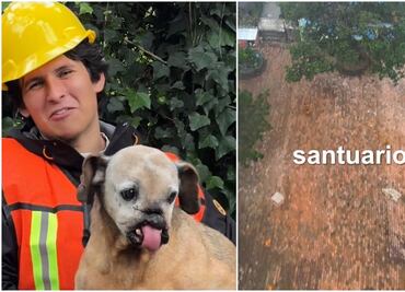 Alexis Omman anuncia construcción de hospital veterinario para refugio de perritos