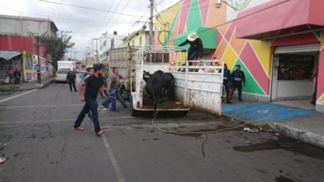 Toro escapa, persigue a gente y hace destrozos en mercado