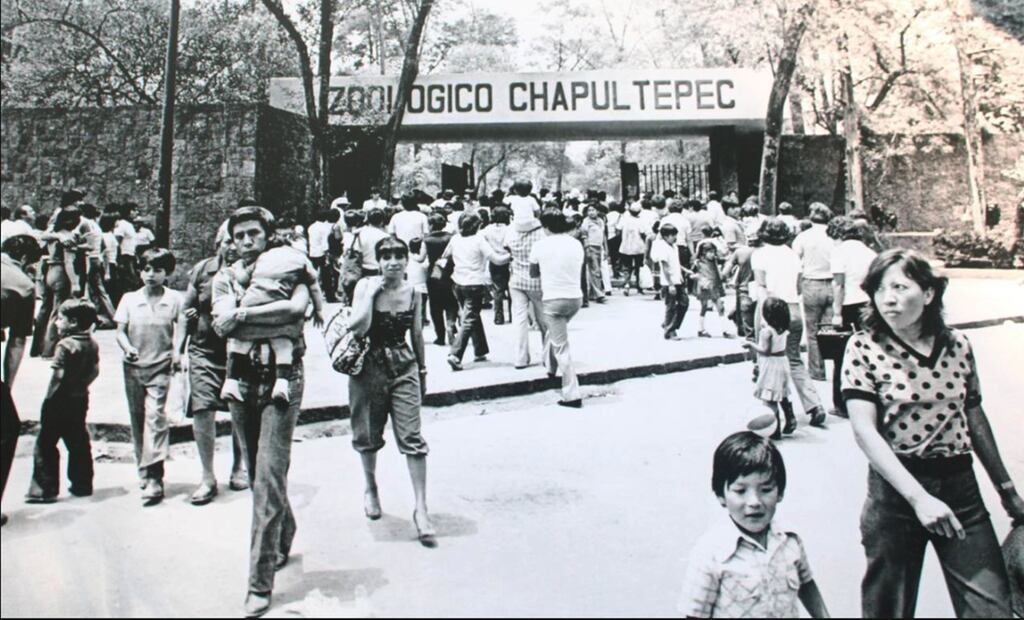 El Zoológico de Chapultepec cumple 102 años de ser un espacio emblemático en la reproducción, conservación e investigación de especies silvestres. (Foto: especial)